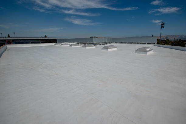 Best Roof Insulation Installation  in Shawnee, KS