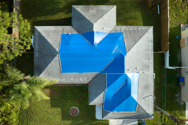 Best Steel Roofing  in Shawnee, KS