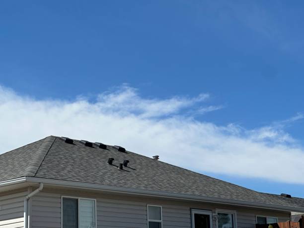 Best Roof Moss and Algae Removal  in Shawnee, KS